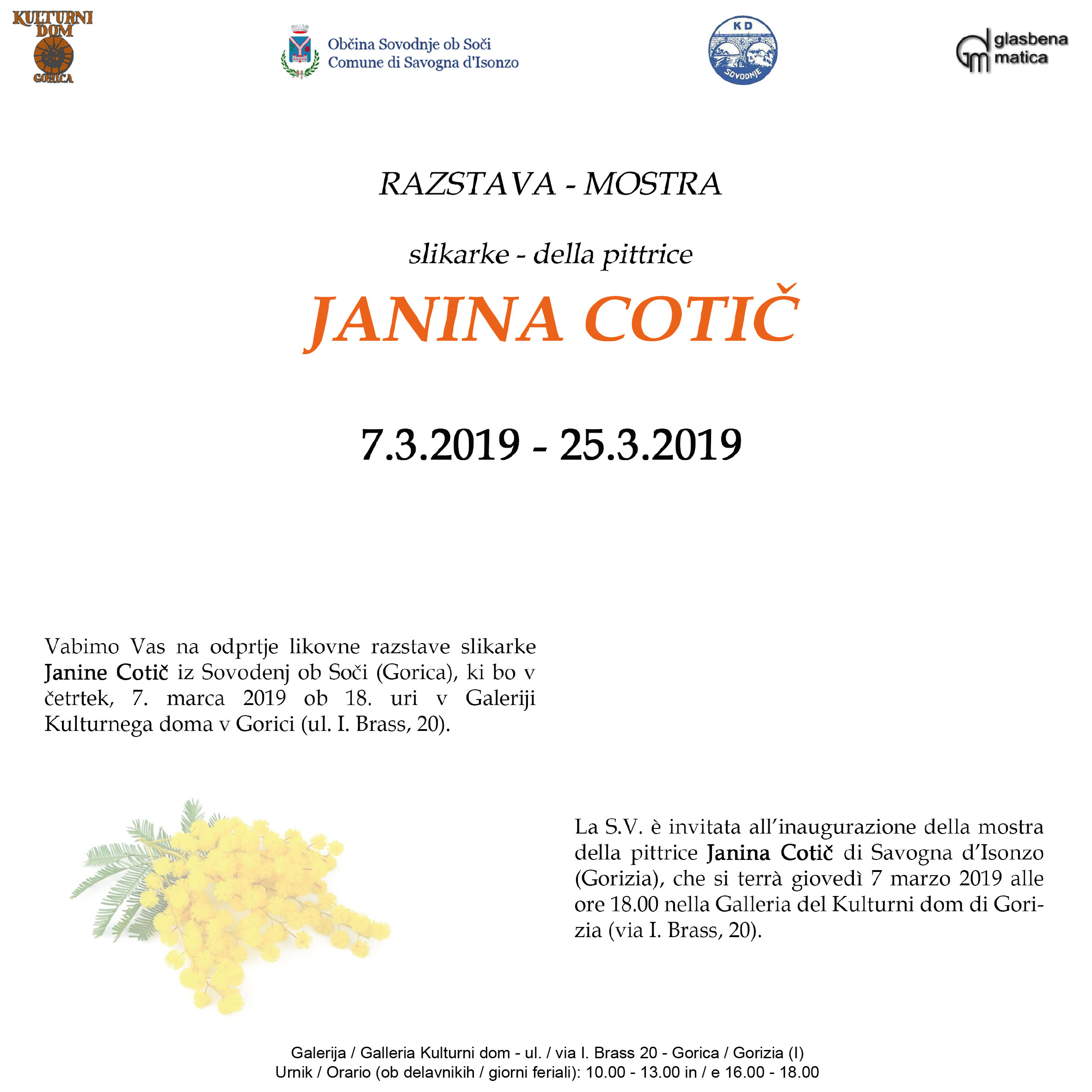Janina Cotič - mostra